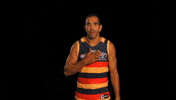 adelaidecrows celebration lebron adelaide crows afcmedia GIF
