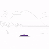 United Nations Un GIF by FAO