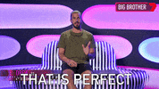 Big Brother Drew GIF by Big Brother Australia