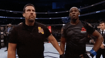 Jon Jones Win GIF by UFC