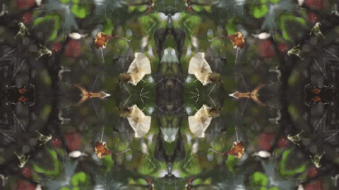 Art Love GIF by jorgemariozuleta
