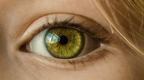 TheyCallMeLie giphygifmaker quadratauge GIF