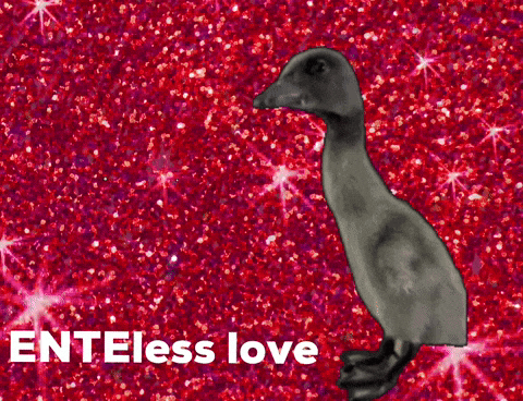 Endless Love Duck GIF