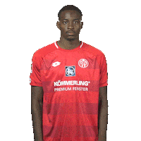 Happy Mainz 05 Sticker by Bundesliga