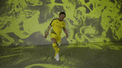 Soccer Bruce GIF by New Mexico United