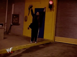 wrestlemania x8 wrestling GIF by WWE