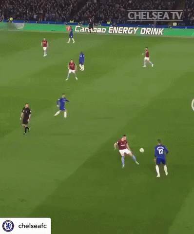 soccergator giphyupload GIF