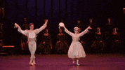 Swanlake GIF by English National Ballet