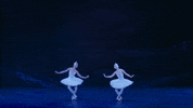 Swanlake GIF by English National Ballet