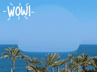 Germany Wow GIF by FranchiseONE.de