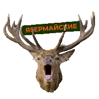 weekend may Sticker by Jägermeister (Global)
