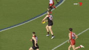 sport yes GIF by Essendon FC