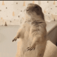 Oh Come On Let It Go GIF