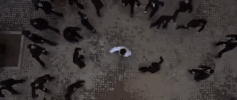 kung fu GIF