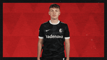 Sc Freiburg Football GIF by Bundesliga