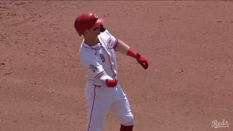 Baseball Mlb GIF by Cincinnati Reds