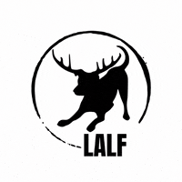 LiveaLittle fun fitness movement nh GIF