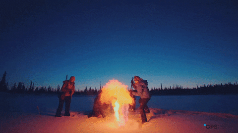 Climate Crisis Co2 GIF by Oceanic Preservation Society