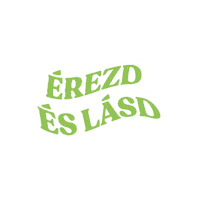 Pray Praise The Lord Sticker by Nyári Dicsőítő Iskola