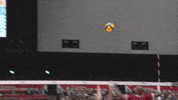 Japan Shall Not Pass GIF by Volleyball World