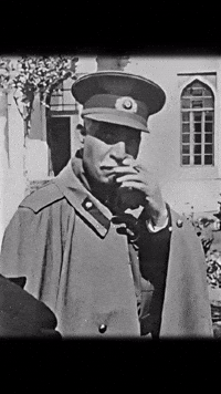 Iran Pahlavi GIF