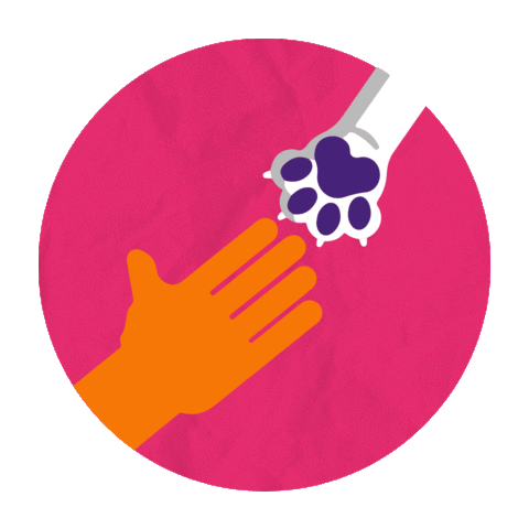 gabrielverasart giphyupload pet friend amigo Sticker