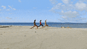 Survivor GIF by CBS