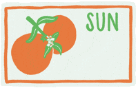 Sunshine State Florida GIF