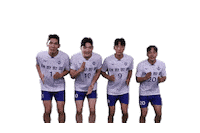 Jumbos Koreanair Sticker by kal_jbos