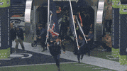 GIF by Seattle Seahawks