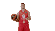 Liga Endesa Basketball Sticker by ACB