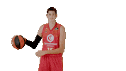 Bouncing Liga Endesa Sticker by ACB