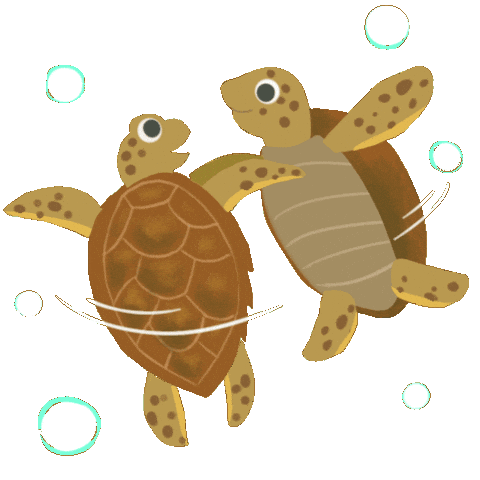 Sea Turtle Dancing Sticker by Anak Rimba Books