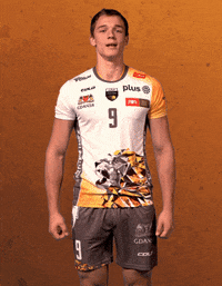 Volleyball Yes GIF by trefl_gdansk
