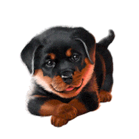 Fun Smile Sticker by Murka Games