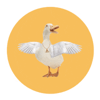 Samsung Sticker by Samsungmobilemx