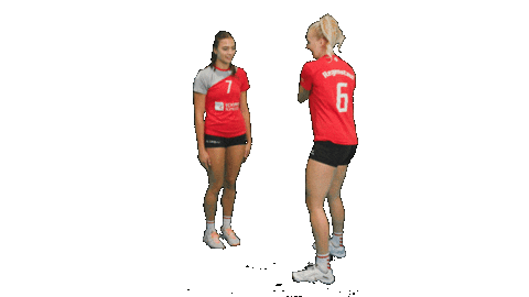 tbasvvolleyball giphyupload volleyball damen1 regenstauf Sticker