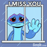Sad Miss You GIF by Snek