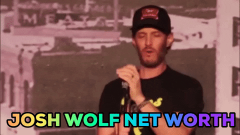 WealthCaves giphygifmaker net worth josh wolf GIF