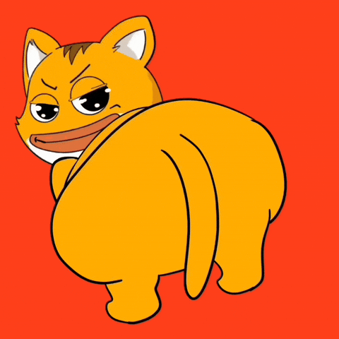 zeekzksync giphyupload cat money crypto GIF