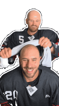 Hockey Toulouse Sticker by Bélougas