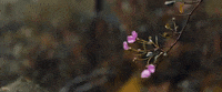 neonrated neon neonrated monos monosfilm GIF
