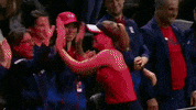 fedcup celebration win team usa GIF