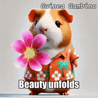 GIF by Guinea Gambino