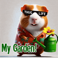 GIF by Guinea Gambino