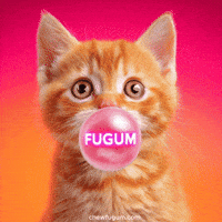 Cat Bubble GIF by Fugum