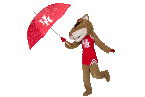 Houston Cougars Mascot Sticker by University of Houston