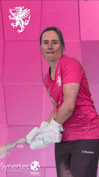 T20 Vitality Blast GIF by Somerset County Cricket Club