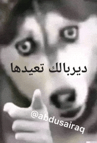 ميمز GIF