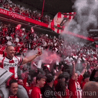 Psv Supporters GIF